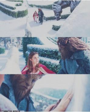 丹妮埃拉·波吉